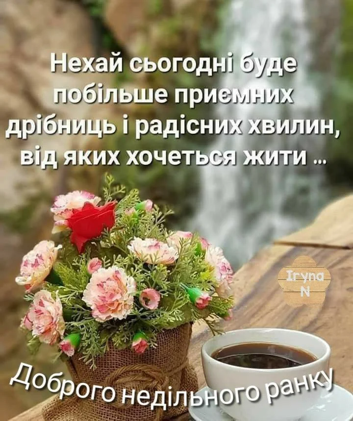 Квіти та каву з побажаннями гарної неділі.