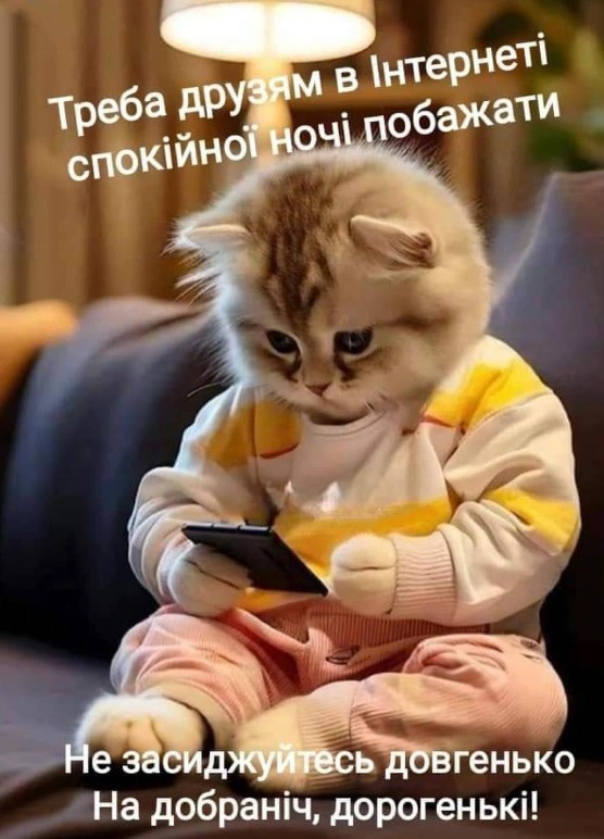 Кіт у піжамі з телефоном, побажає добраніч друзям.
