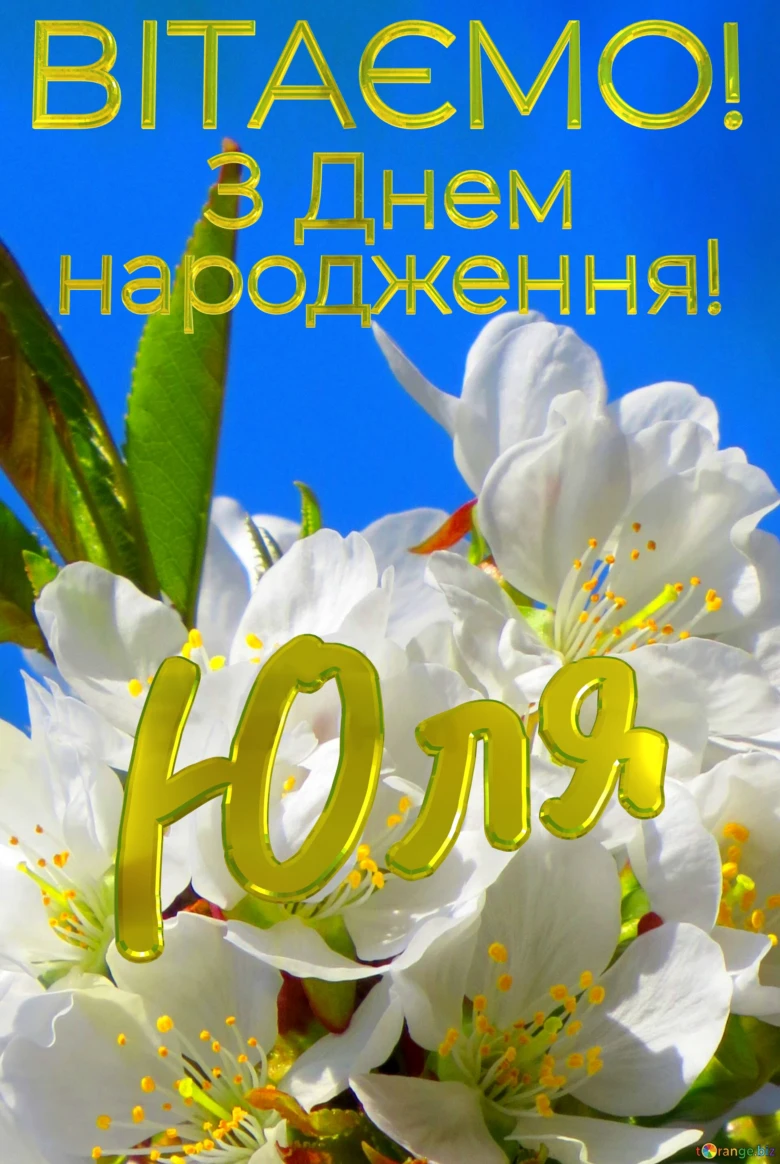 Квіти та привітання з днем народження Юлі українською мовою.