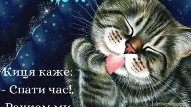 на добраніч картинки прикольні - Кіт облизує лапу на нічному фоні з привітанням.