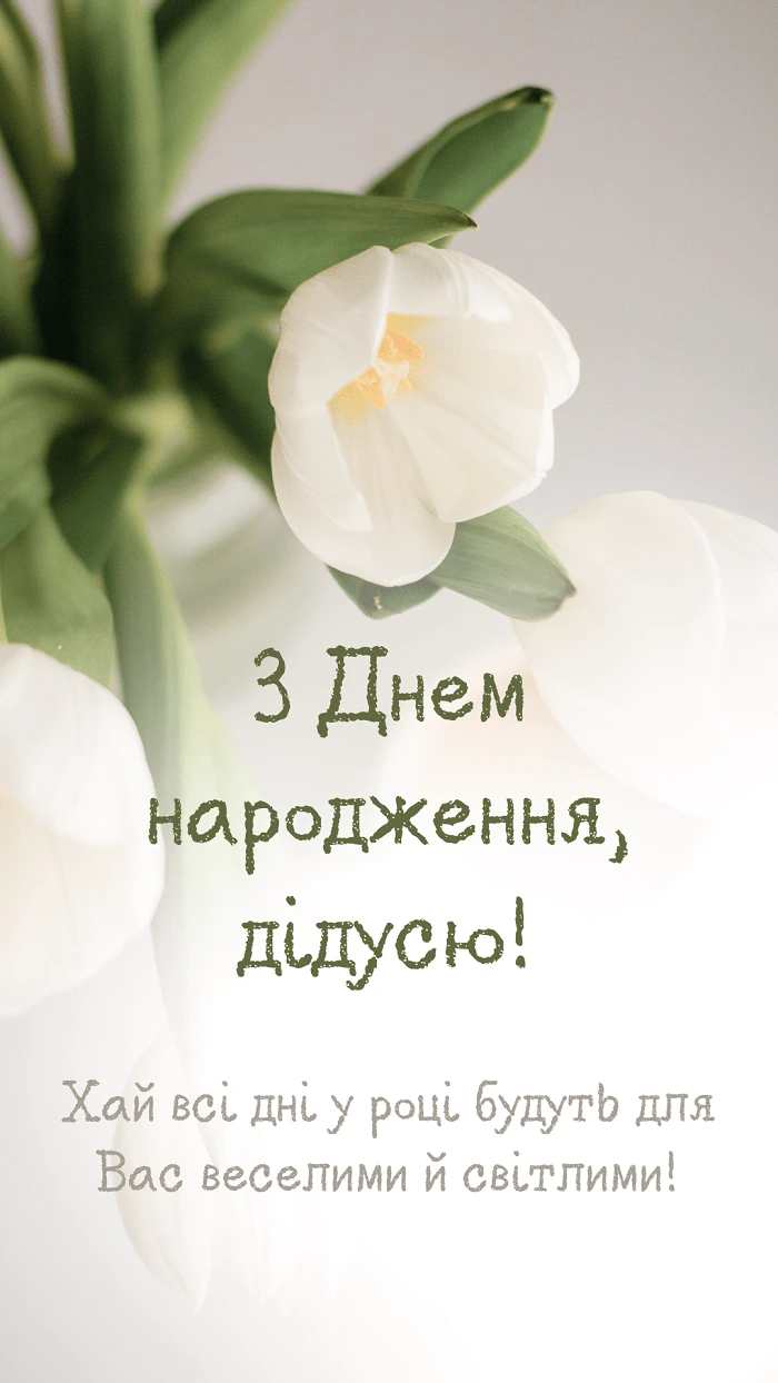 Біла тюльпана з привітанням на день народження дідусю.