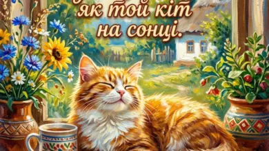 привітання з днем народження руслану - Кіт на вікні з квітами та привітанням Руслану.