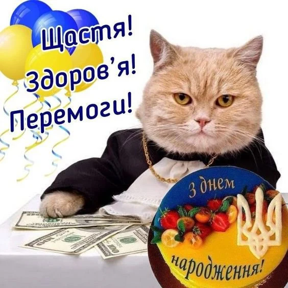 Кіт у костюмі з тортам та привітаннями українською.