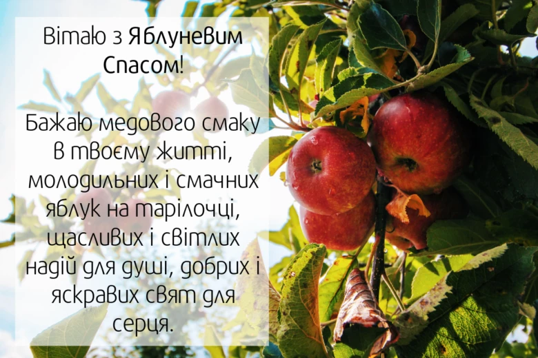 Червоні яблука на гілці з привітанням Яблучного Спасу.