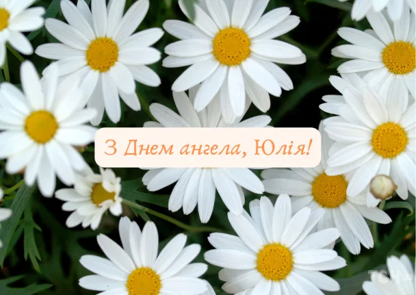 Білі ромашки з привітанням Юлії з днем ангела