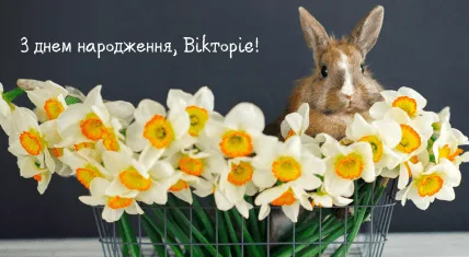 Кролик серед нарцисів з привітанням на день народження українською.