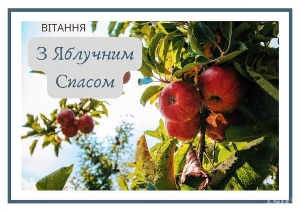 Червоні яблука на гілці з привітанням Яблучний Спас