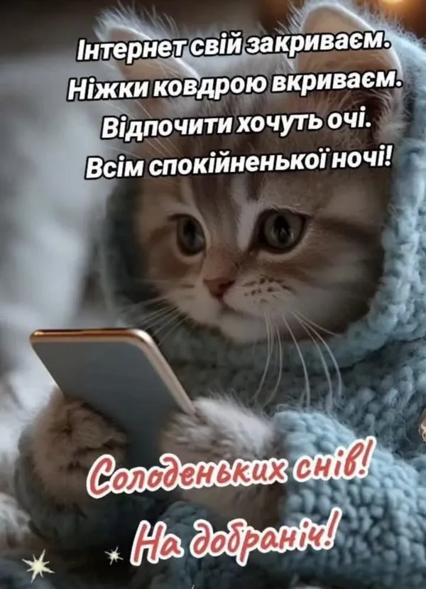 Кіт у светрі з побажанням добраніч українською.