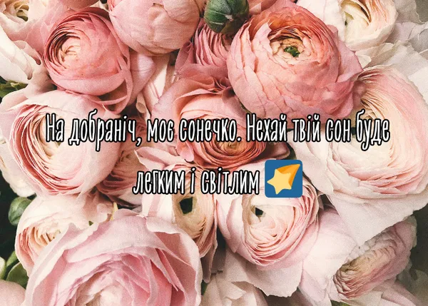 Розові квіти з побажанням гарного сну українською.