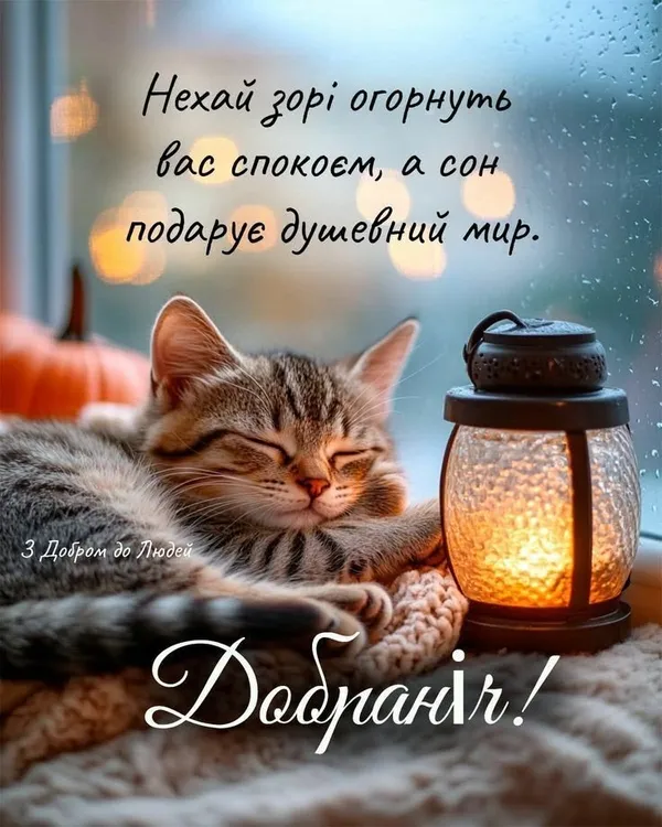 Сплюча кішка поруч із свічкою на дощовому вікні.